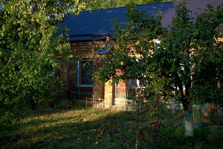 farewell ray of sun in the evening in a quiet corner of the orchardの写真素材