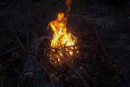 orange and red tongues of fire stretch upward from the night fireの写真素材