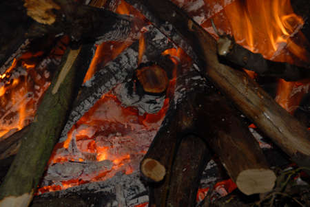 Photo of camp fire - useful as background