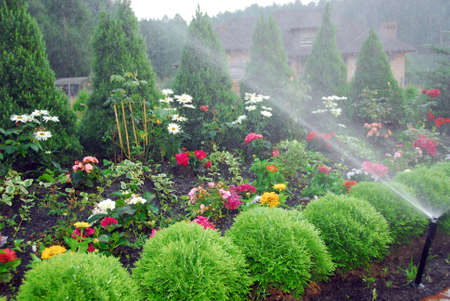 flowers and trees in my colored gardenの写真素材