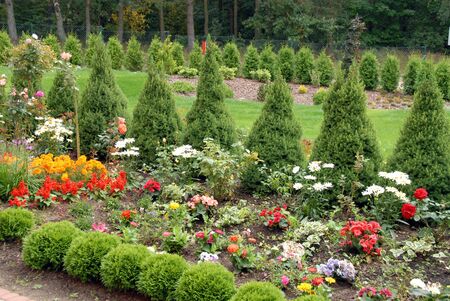 flowers and trees in my colored gardenの写真素材