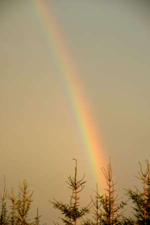 A beautiful rainbow over the sky after stormの写真素材