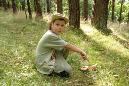 A boy picking mushrooms in a forest.の写真素材
