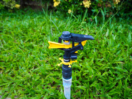 Close up water springer on green grassの写真素材