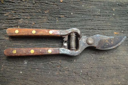 pruning shears on wood backgroundの写真素材