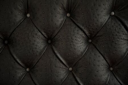 Luxury buttoned ostrich leather pattern の写真素材