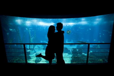 Young lovers cuddle in front of Lisbon's aquariumの写真素材
