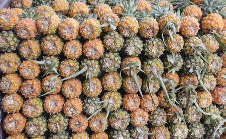 Fresh Pineapple in local market photoの写真素材