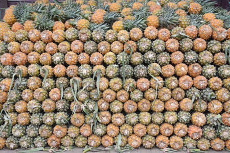 Fresh Pineapple in local market photoの写真素材