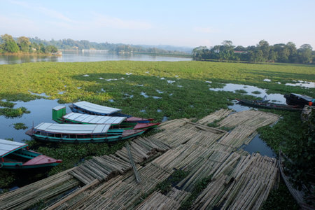 Bamboo rafts on the river in the morning, kaptai lake,bangladeshの写真素材