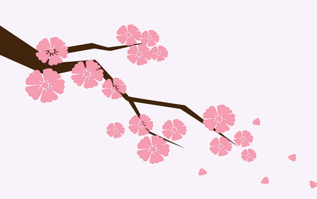 Branch of sakura with flowers. Cherry blossom branch with petals falling isolated on light-pink.のイラスト素材