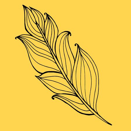 Hand drawn doodle zentangle feather isolated from background. Black illustration with different ornaments.のイラスト素材