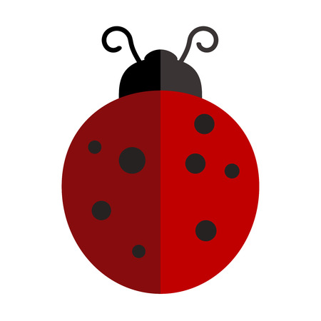 Lady-bird or red ladybug isolated on light background, cartoon vector illustration.のイラスト素材