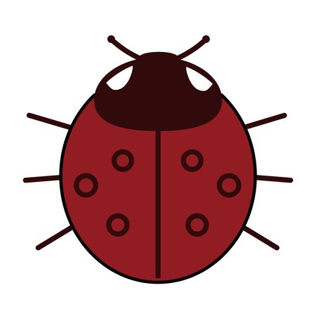 Lady-bird or red ladybug isolated on light background . Cartoon illustration.の写真素材