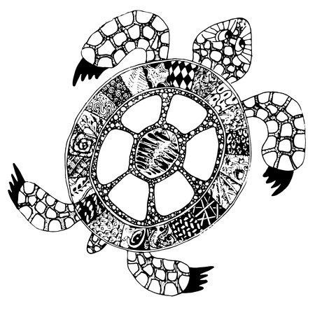 Hand drawn doodle turtle. Vector tortoise with different handrawn patterns on tortoiseshell.のイラスト素材