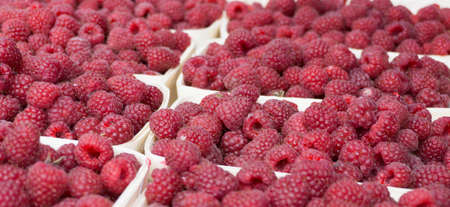 Red raspberries in containers on the market