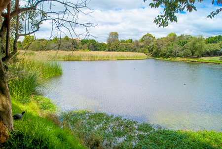 This photograph was made from the santa maria Lake wetlandの写真素材