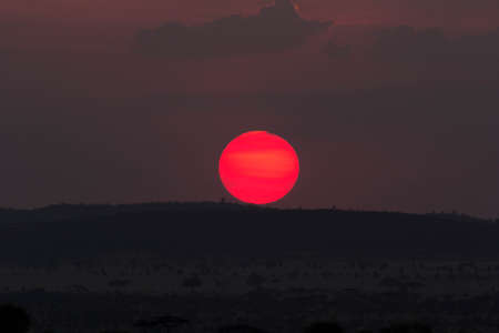 Sunset in Masai Maraの写真素材