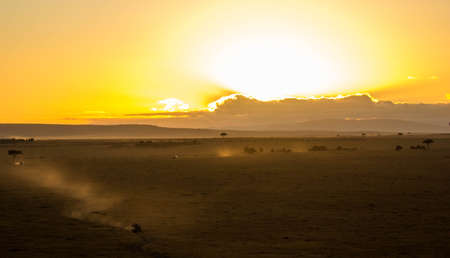 Early morning in Masai Maraの写真素材
