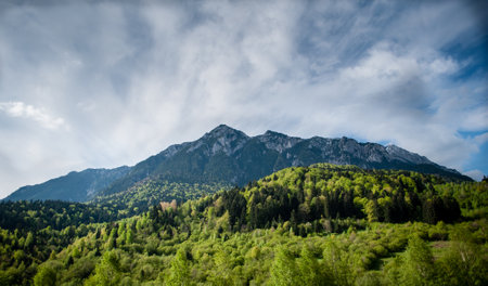 A vibrant spring landscape featuring a mountain peak in the Carpathians surrounded by lush green...