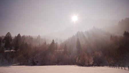 A serene winter morning with the sun rising above the misty forest, casting warm rays over the...