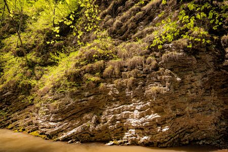 Beautiful rock in green plants above stream of water in wood.の写真素材