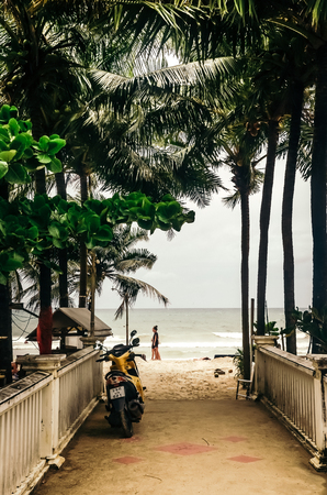 Back view of motorbike parked on pavement with fence under palms on background of Kamala beach, Phuket.のeditorial素材