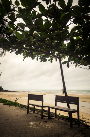 Walkway with trees and benches on background of beach of Kamala.の写真素材