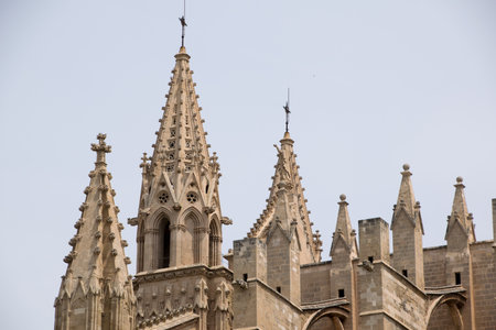 Mallorca Cathedralの写真素材