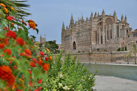 Mallorca Cathedralの写真素材