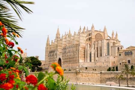 Mallorca Cathedralの写真素材