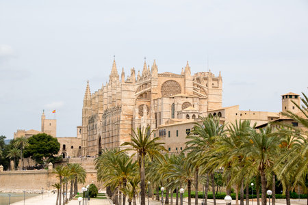 Mallorca Cathedralの写真素材