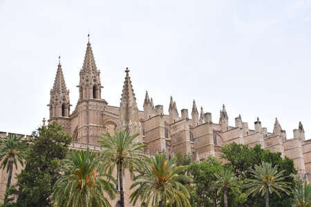 Mallorca Cathedralの写真素材
