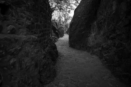 Image Of  forest track shot near Mehrangarh Fort, Jodhpur