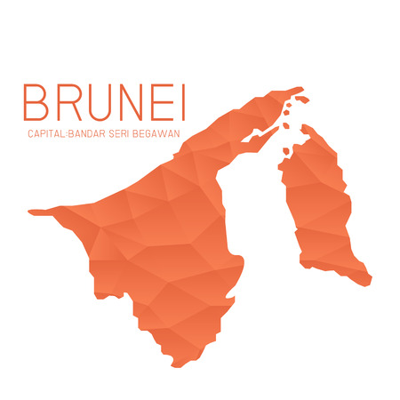 Brunei map geometric backgroundのイラスト素材