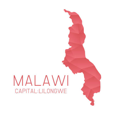 Malawi map geometric texture backgroundのイラスト素材