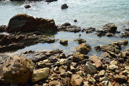 reef on the seaの写真素材