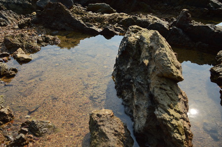 reef on the seaの写真素材