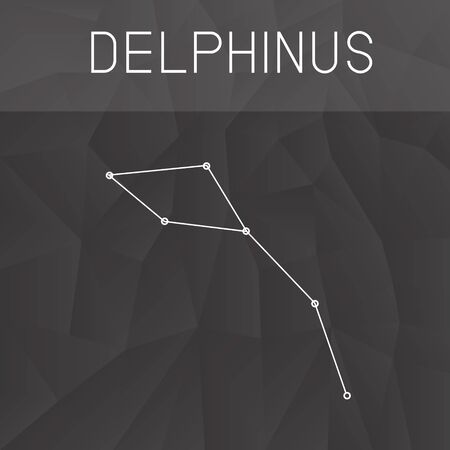 Delphinus Constellationのイラスト素材