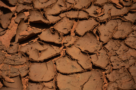 dry, soil, water, close up, selective, focus, picture, photo, background, hard, tough, rough,...