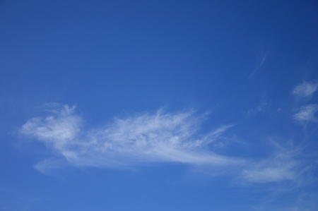 Cloud shape like a bird on the sky, selective focus.の写真素材