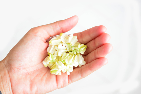 flower drake artificial garland on female hand, isolated.の写真素材