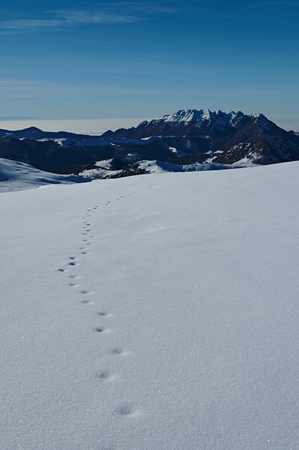 West side of mount in winterの写真素材