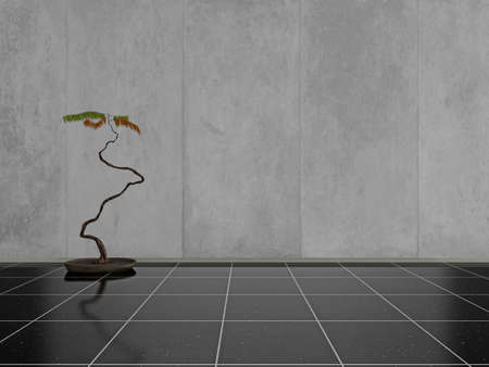 Unusual indoor plant on a shiny black stone floor, with blank space on the wall for your own design or textの写真素材