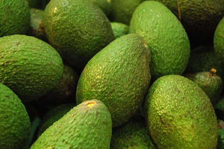 The Avocado Patch
