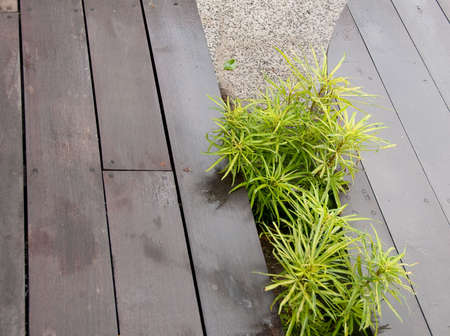hard wood deckの写真素材