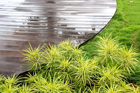 geometric garden landscape with deck and plantsの写真素材