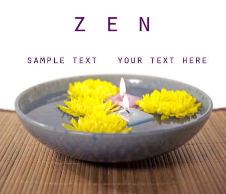 zen reflection chrysanthemum flowers with copy spaceの写真素材