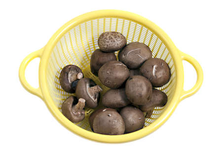 japanese shitake mushrooms in a strainerの写真素材