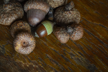 Acorns and acorns on a wooden background. Selective focus.の写真素材